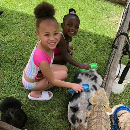 Small children playing with a goat.